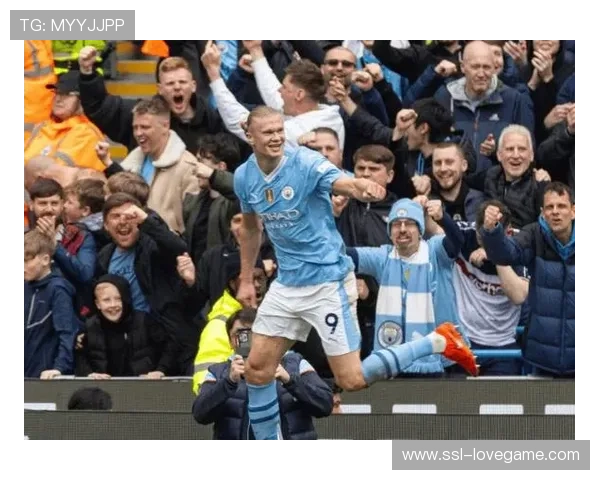 欧战积分榜更新，德甲球队欧战整体表现稳健